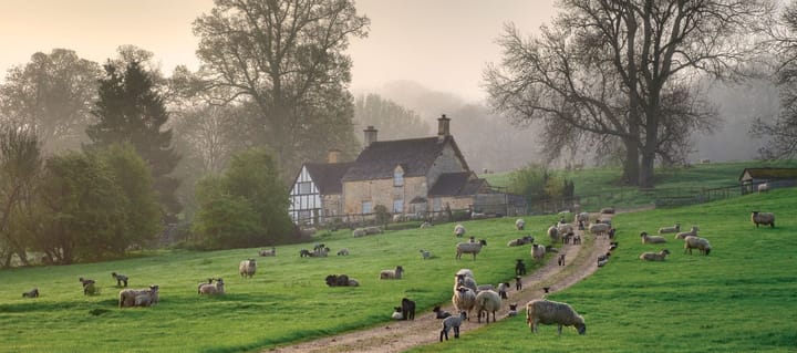 The Joy of Working: On a  Farm